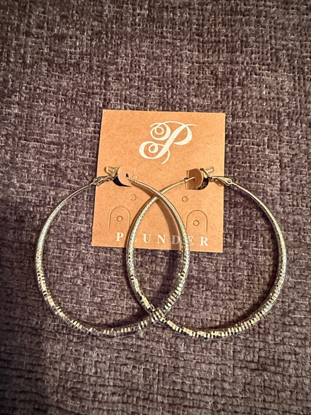 Plunder Shimmering Silver Hoop Earrings